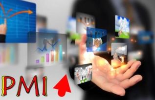 中國(guó)軟件和信息技術(shù)服務(wù)業(yè)商務(wù)活動(dòng)指數(shù)持續(xù)提升，彰顯高質(zhì)量發(fā)展態(tài)勢(shì)